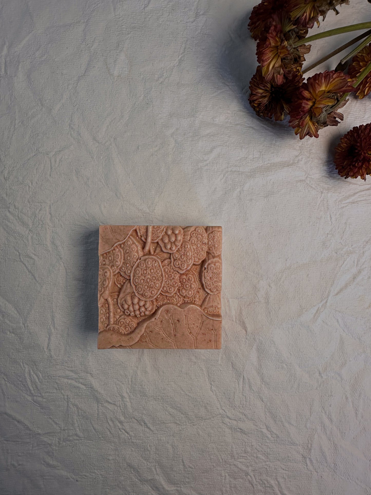 Cashmere Sands